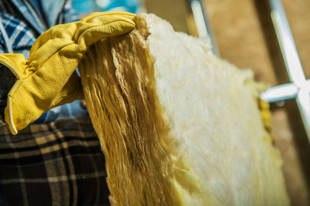 Best Garage Insulation Installation  in Rapids, NY